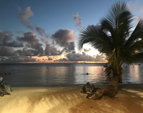 Vacances idylliques à Sainte-Anne en Guadeloupe